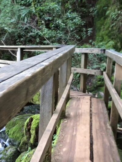 Cataract Trailhead - Bolinas, CA