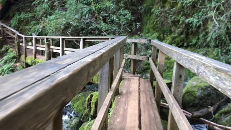 Cataract Trailhead - Bolinas, CA