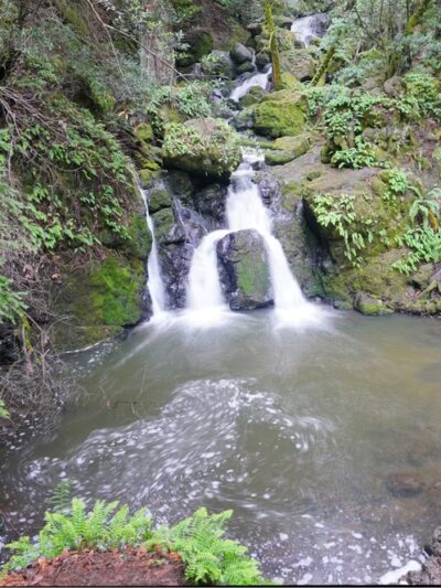 Cataract Trailhead - Bolinas, CA