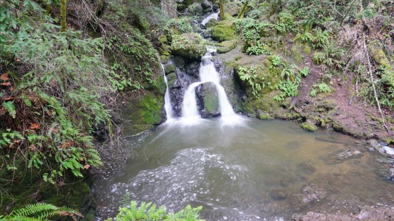 Cataract Trailhead - Bolinas, CA