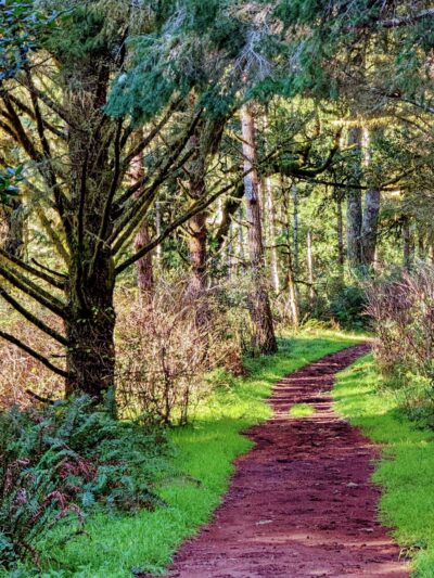 Olema Valley Trail - Bolinas, CA