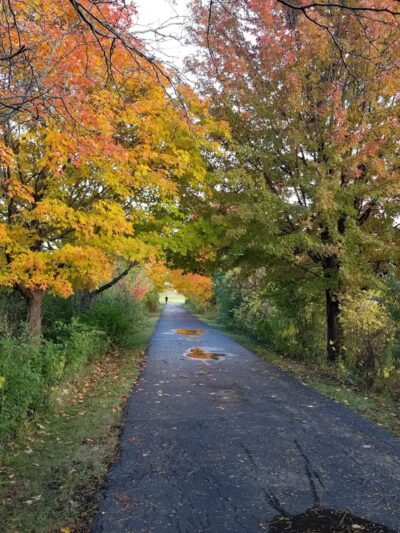 Community Park, Bolingbrook Park District - Bolingbrook, IL