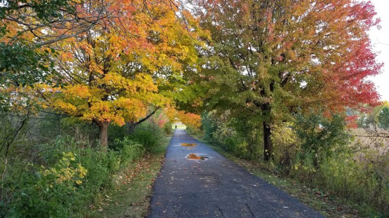 Community Park, Bolingbrook Park District - Bolingbrook, IL