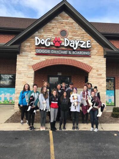 Dog Dayze- Doggie Daycare & Boarding - Bolingbrook, IL