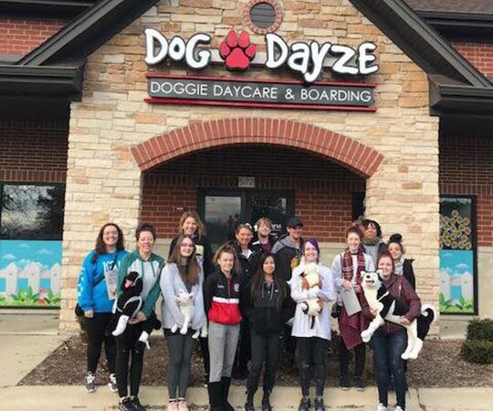 Dog Dayze- Doggie Daycare & Boarding - Bolingbrook, IL