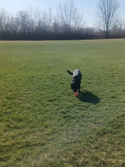 Drafke Park, Bolingbrook Park District - Bolingbrook, IL