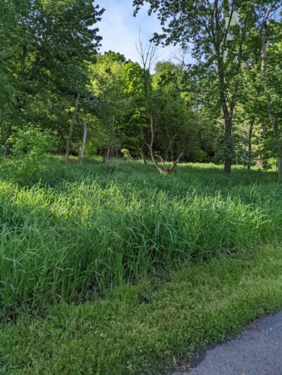 DuPage River Greenway Trail - Bolingbrook, IL