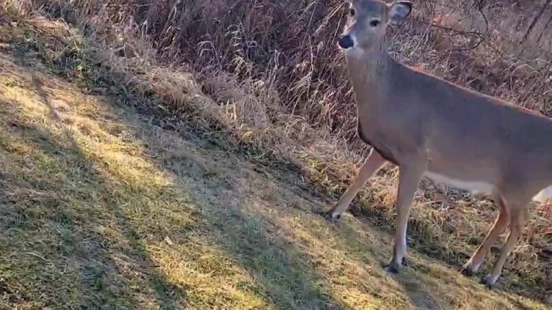 DuPage River Park - Bolingbrook, IL