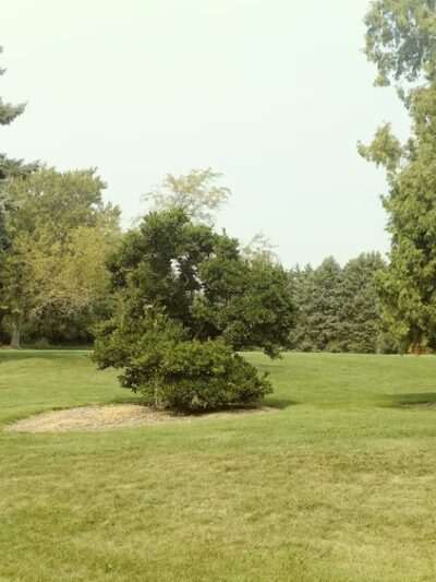 DuPage River Park - Bolingbrook, IL