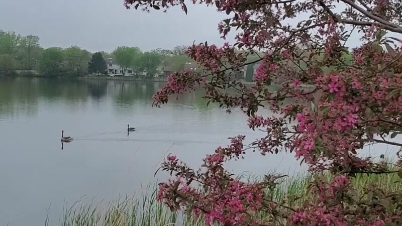 Gateway Wetlands Park, Bolingbrook Park District - Bolingbrook, IL