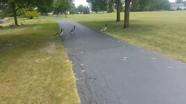 Indian Chase Meadows Park, Bolingbrook Park District - Bolingbrook, IL