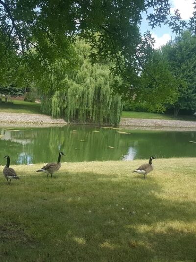 Indian Chase Meadows Park, Bolingbrook Park District - Bolingbrook, IL