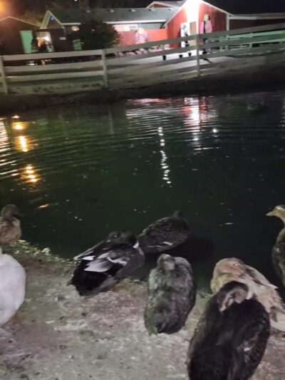 Johansen Farm Park, Bolingbrook Park District - Bolingbrook, IL