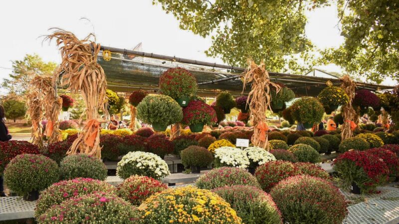 Johansen Farm Park, Bolingbrook Park District - Bolingbrook, IL