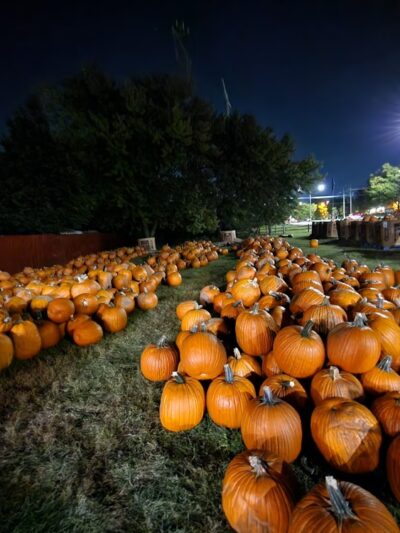 Johansen Farm Park, Bolingbrook Park District - Bolingbrook, IL