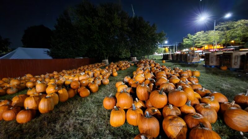 Johansen Farm Park, Bolingbrook Park District - Bolingbrook, IL