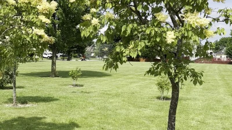 Lilac Park - Bolingbrook, IL