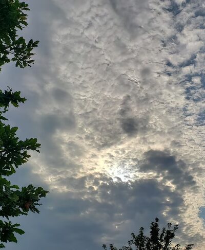 Meyer Park, Village of Bolingbrook - Bolingbrook, IL