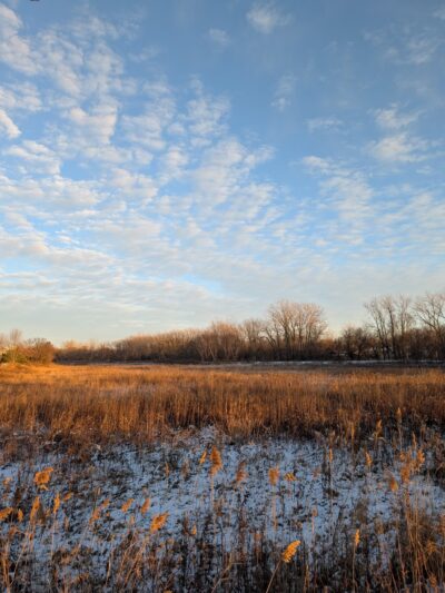 Poplar Park - Bolingbrook, IL
