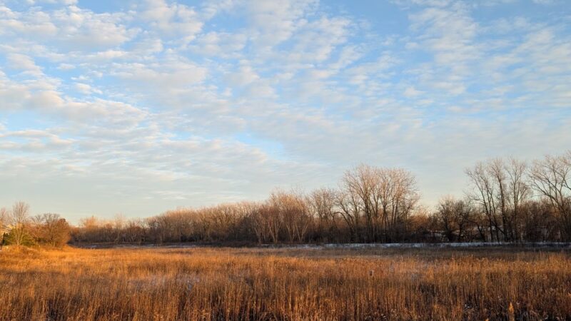 Poplar Park - Bolingbrook, IL