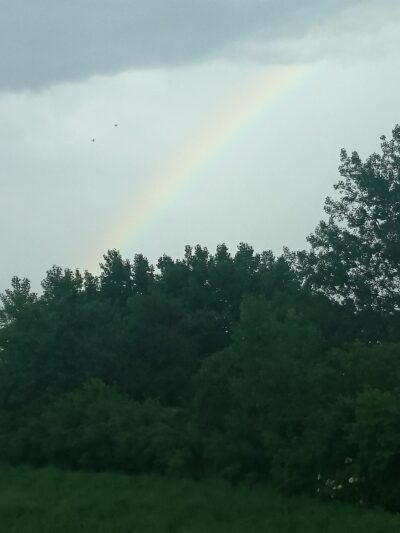 Poplar Park - Bolingbrook, IL