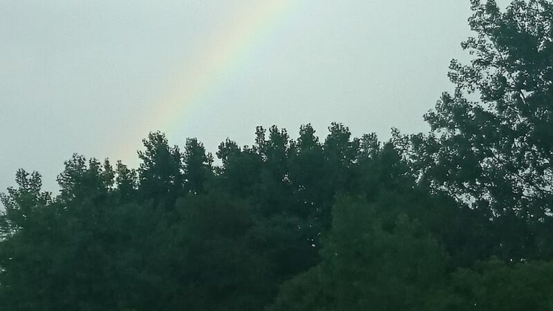 Poplar Park - Bolingbrook, IL