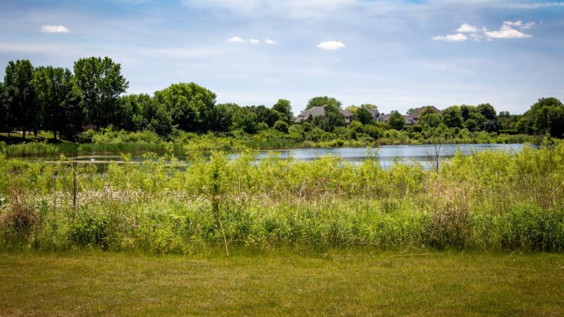 Prairie Trails Park, Bolingbrook Park District - Bolingbrook, IL