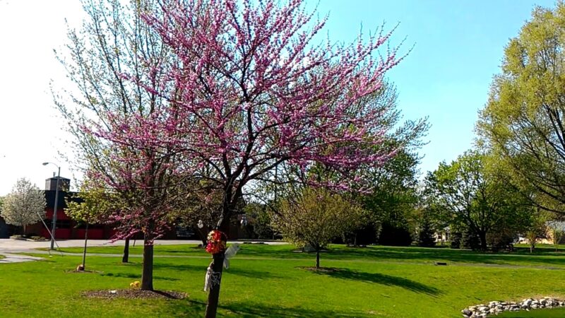 Schraeder Park, Bolingbrook Park District - Bolingbrook, IL