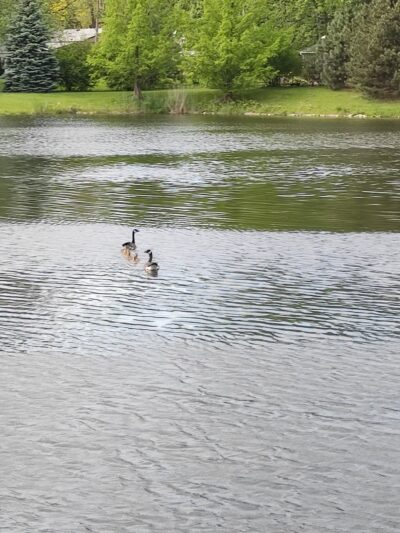 Schraeder Park, Bolingbrook Park District - Bolingbrook, IL