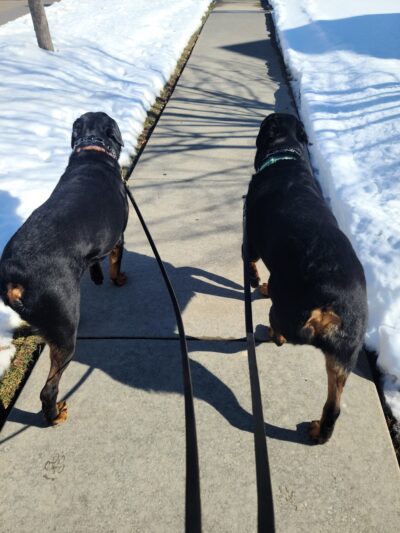 Veterans Park, Bolingbrook Park District - Bolingbrook, IL