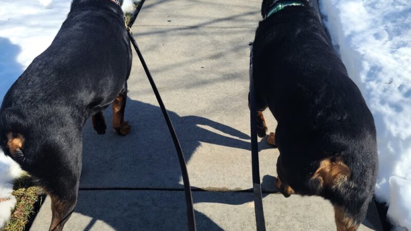 Veterans Park, Bolingbrook Park District - Bolingbrook, IL