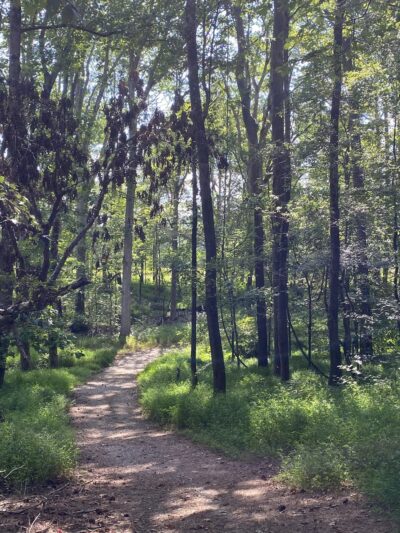 Bolivar City Park - Bolivar, TN