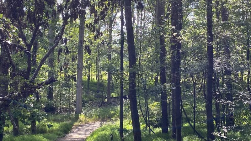 Bolivar City Park - Bolivar, TN