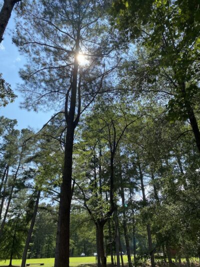 Bolivar City Park - Bolivar, TN