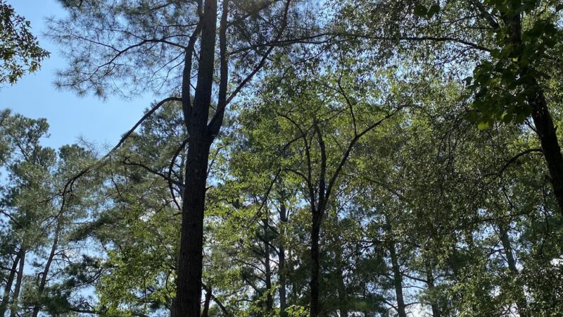 Bolivar City Park - Bolivar, TN