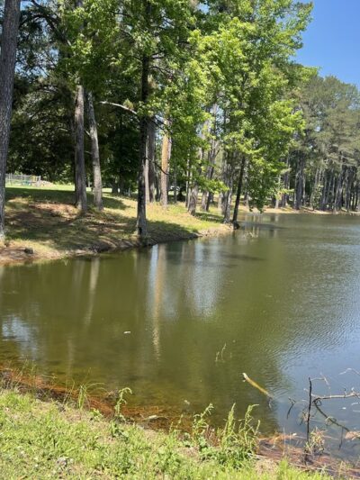 Bolivar City Park - Bolivar, TN