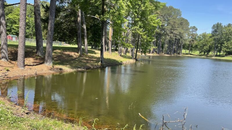 Bolivar City Park - Bolivar, TN