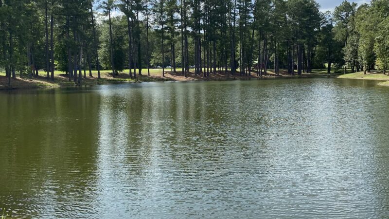 Bolivar City Park - Bolivar, TN