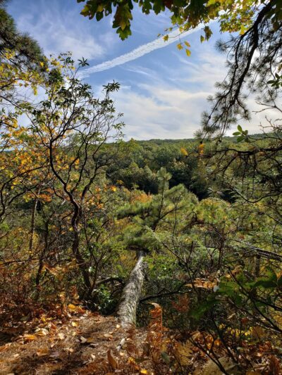 Freja Park - Bolton, CT