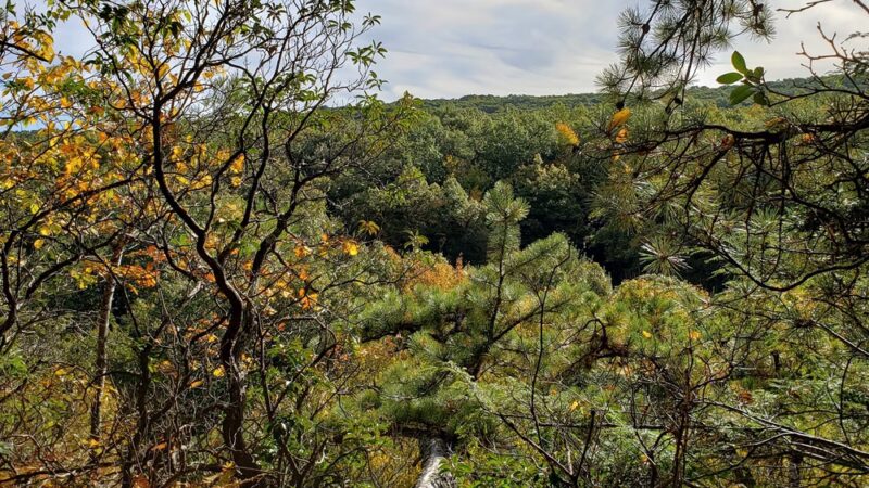 Freja Park - Bolton, CT