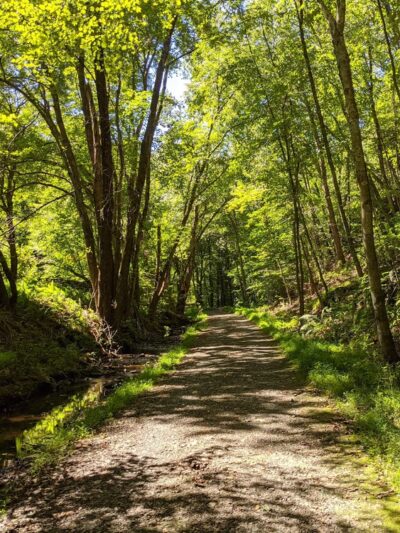 Freja Park - Bolton, CT