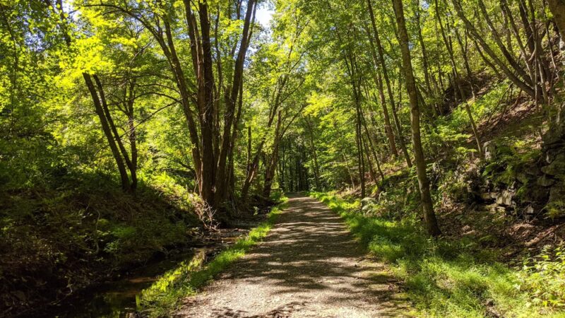 Freja Park - Bolton, CT