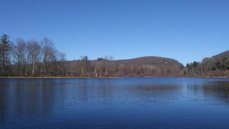 Freja Park - Bolton, CT