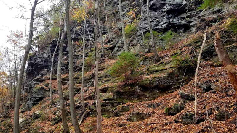 Freja Park - Bolton, CT