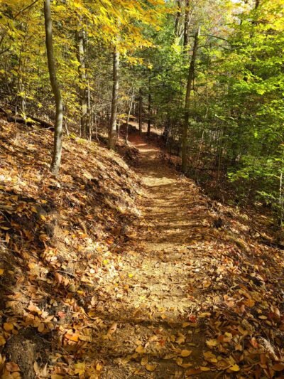 Pinnacle Trail Parking Area - Bolton Landing, NY