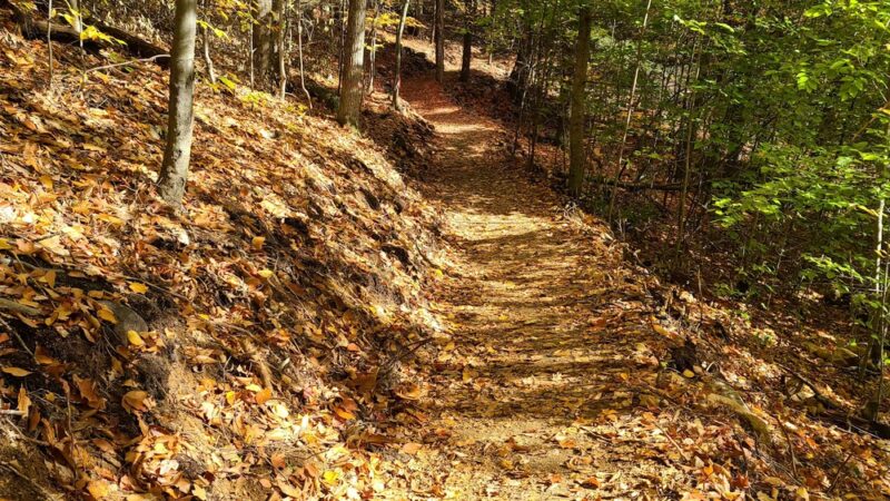 Pinnacle Trail Parking Area - Bolton Landing, NY