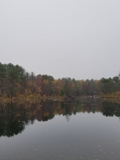 Bowers Springs - Bolton, MA