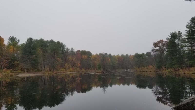Bowers Springs - Bolton, MA