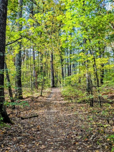 Bowers Springs - Bolton, MA