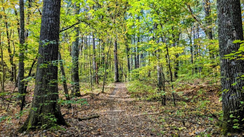Bowers Springs - Bolton, MA